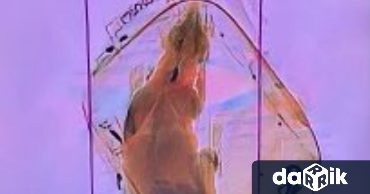 Странни находки откри Администрацията по сигурността на транспорта (АСТ) в