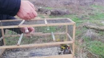 Диви пойни птици спасиха от РИОСВ – Пловдив при изненадваща