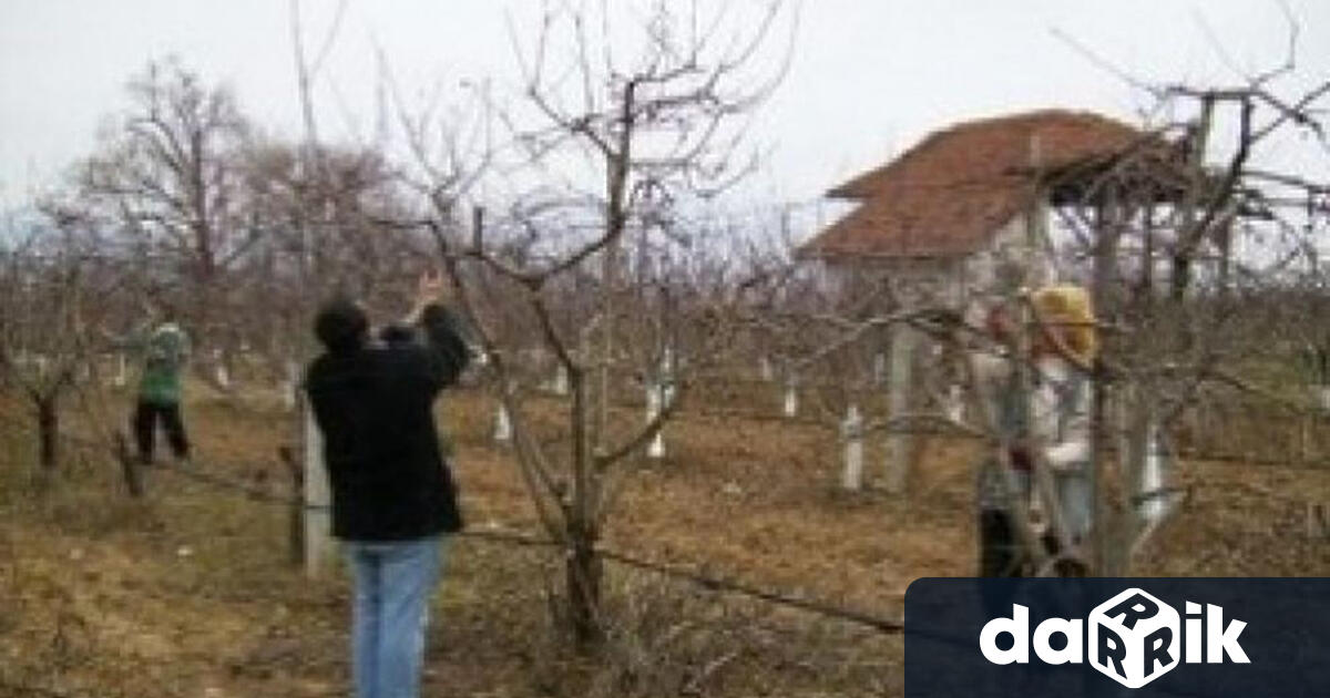 Днес от 10:00 часа, Национална служба за съвети в земеделието