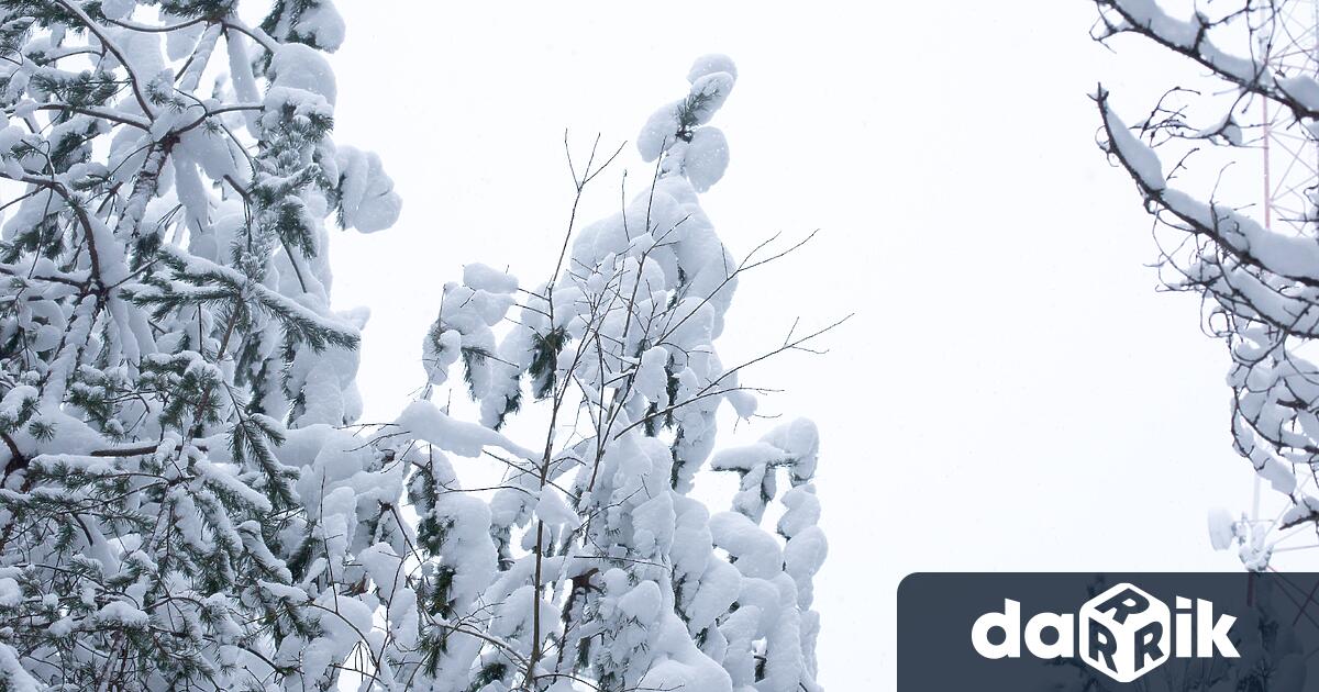 Днес над страната ще бъде предимно облачно. Преди обяд на