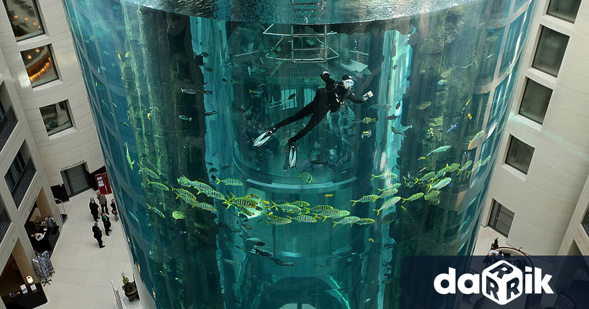 В петък сутринта в близост до Берлинската катедрала се пръснаголям