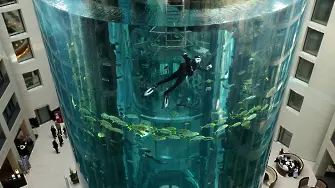 Гигантски аквариум с 1500 тропически риби се пръсна в хотел в Берлин