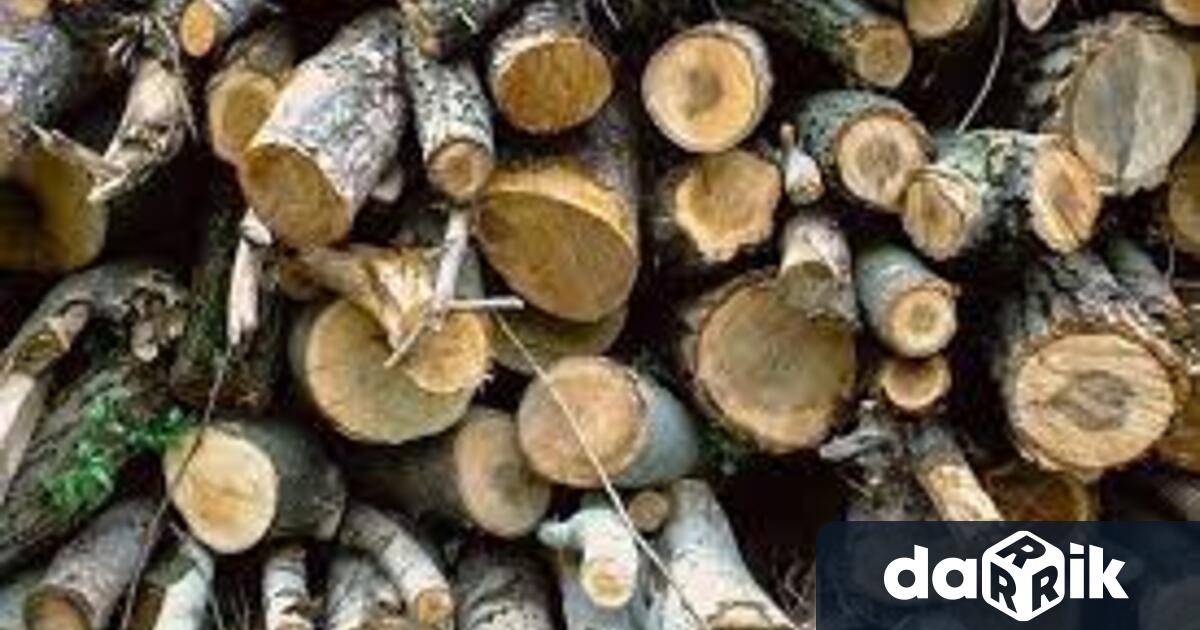 Откриха незаконни дърва за огрев в имотите на двама мъже