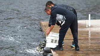 Проект предвижда едногодишна забрана за риболов в язовир „Панчарево“