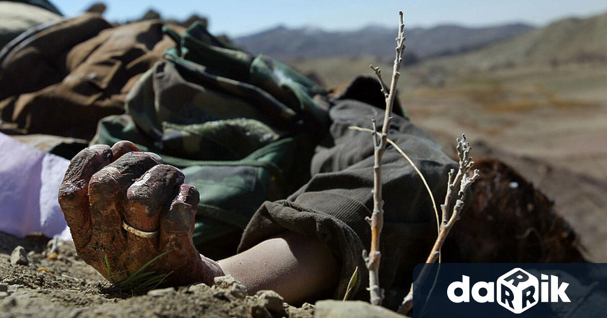 Възобновяването на публично бичуване и екзекуции в Афганистан трябва да