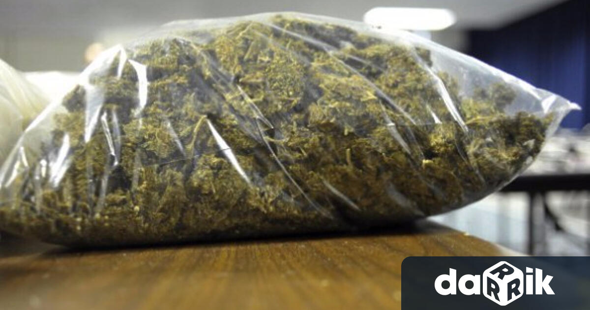 Над 53 кг марихуана иззеха при акция полицаи от участъка