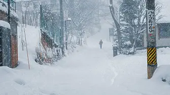 Обилни снеговалежи в Япония: Най-малко 8 загинали и 45 ранени