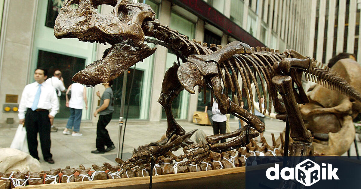 Неизвестни лица са откраднали пръсти от скелетна динозавър по време