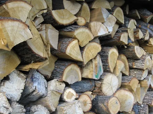 Дърва за огрев без документи са открити в частни имоти в Котел