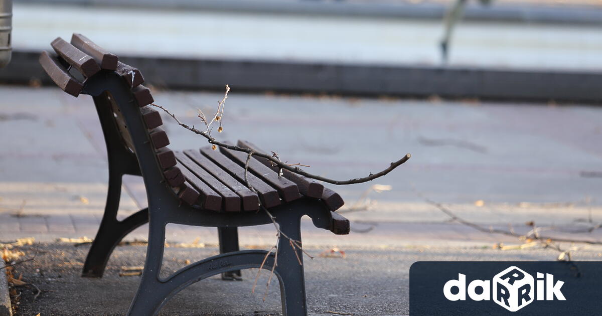 Аварийните екипи на Столична община работят по сигнали за паднали