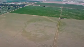 Аржентински фермер засади царевично поле с лика на Меси