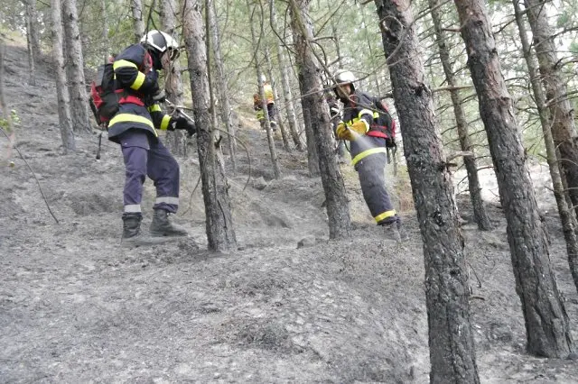 3930 дка гори са изгорели при пожари през 2022 г. в Североизточна България