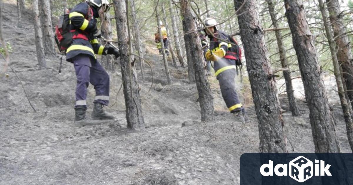 72 пожара са регистрирани в горите на Североизтока през 2022г