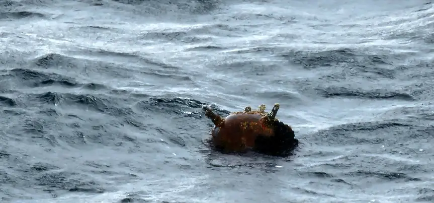 ВМС унищожиха още една плаваща мина край родния бряг