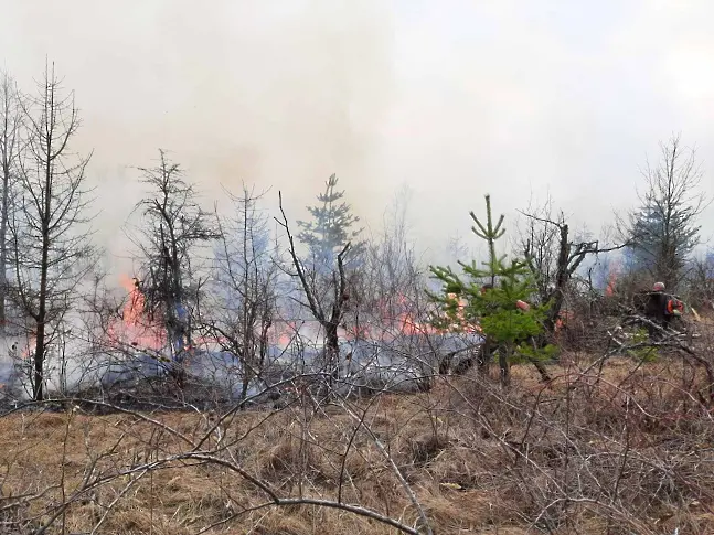 107 горски пожара на територията на СЗДП през 2022г