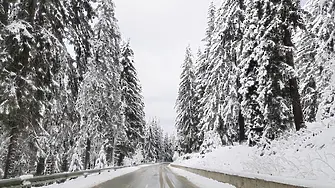 Заради снегопочистване затвориха проходите в Смолянско за тежкотоварни автомобили