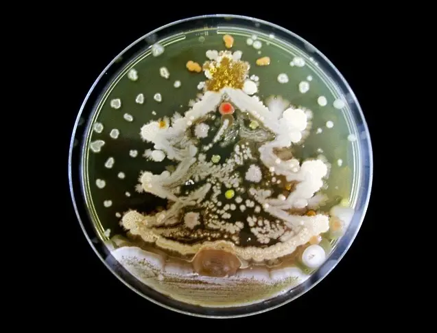 Микробиоложка спечели приз с рисунка от бактерии