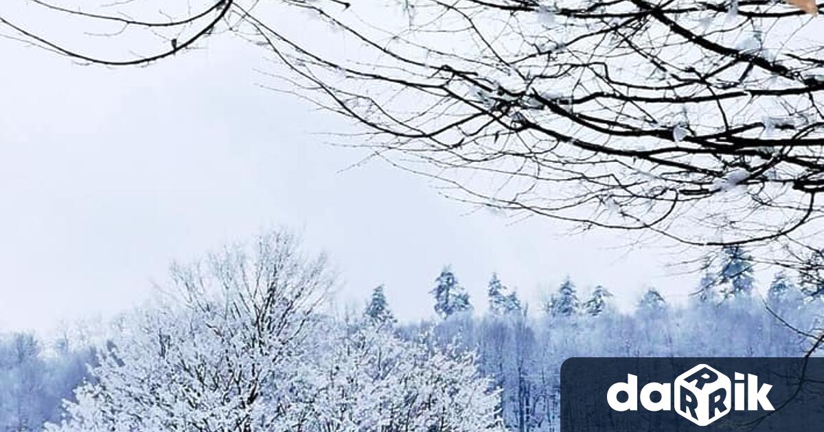 Снежната покривка в град Габрово е над 30 сантиметра улиците