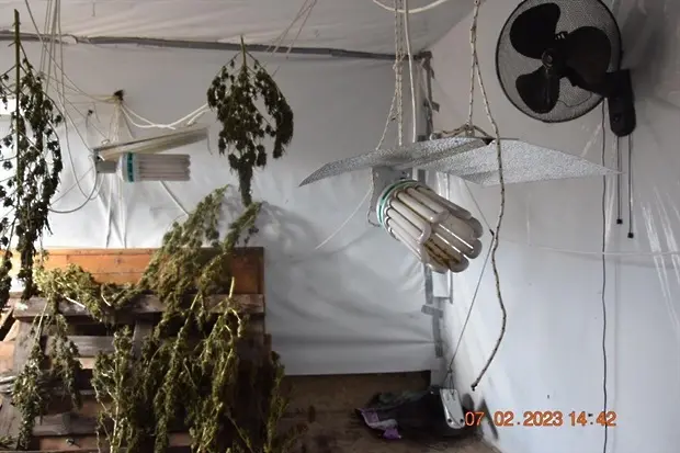 Над 16 кг марихуана откриха и иззеха служители на РУ Бобов дол