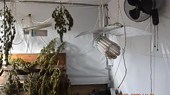 Над 16 кг марихуана откриха и иззеха служители на РУ Бобов дол
