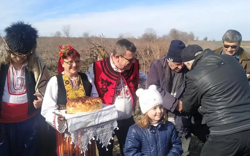 На Трифон ЗарКамено разказва истории за вино | Darik.bg