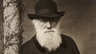 Международен ден на Дарвин и Ден на еволюцията отбелязваме днес