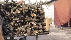 Засякоха отново незаконни дърва за огрев във видинско