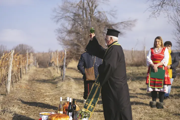 Със зарязване на лозята, дегустация на вина и обща трапеза в Типченица почетоха Трифон Зарезан