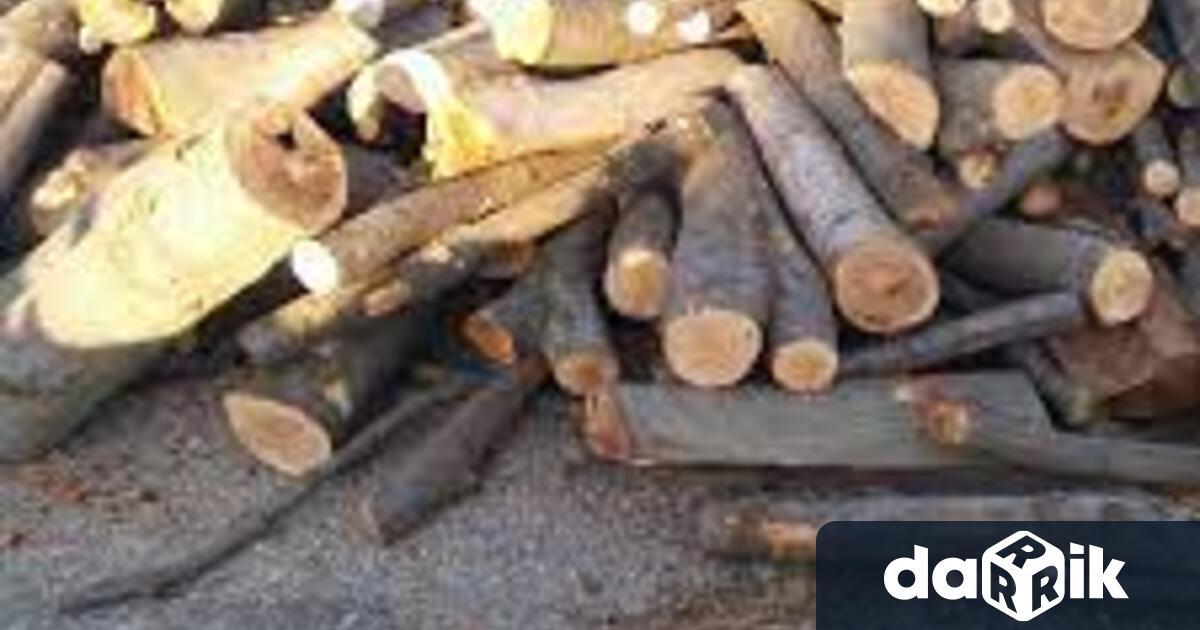 В РУ Котел е започнато досъдебно производство за превоз на дърва