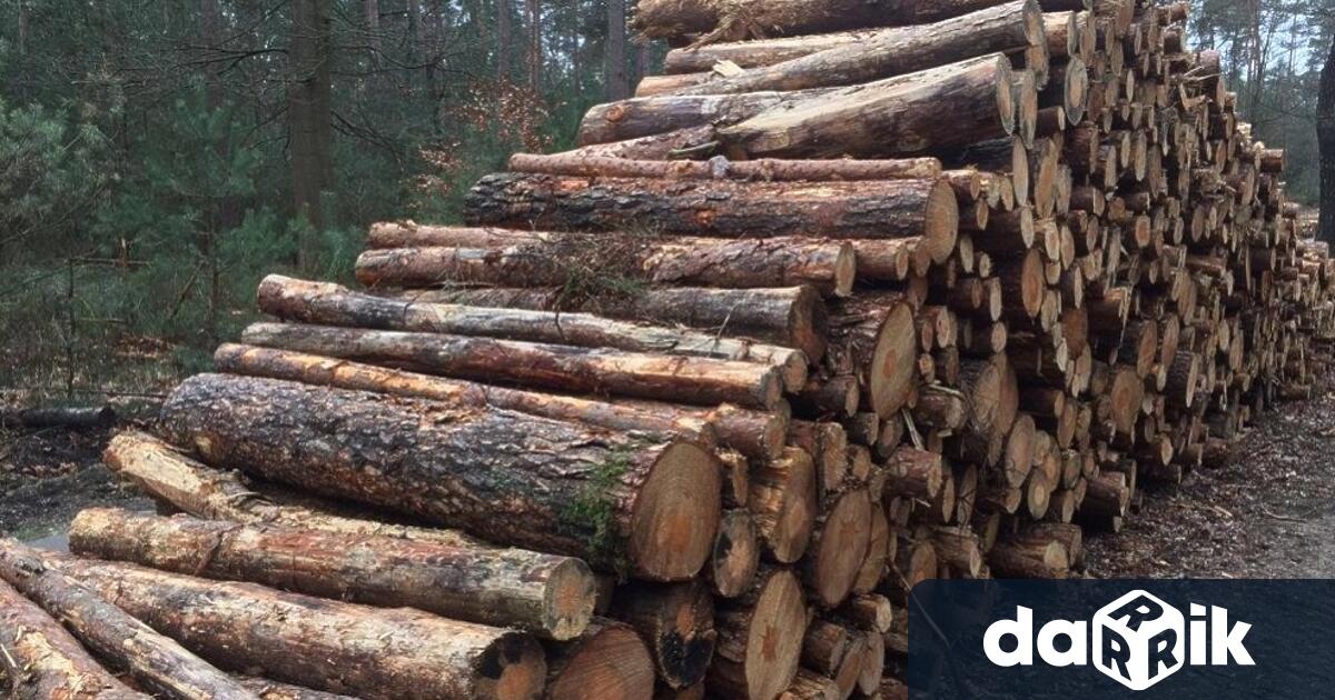 По минимум 50 куб метра дърва за огрев на ден