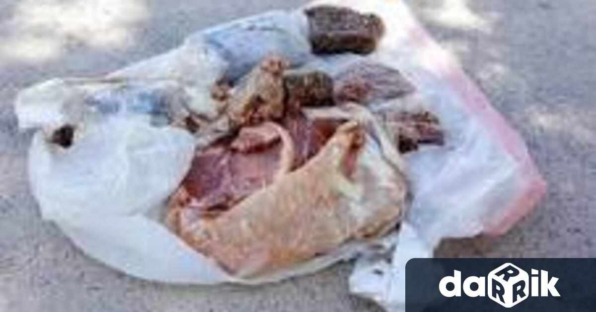 23 годишен открадна 70 кг замразено месо от частен дом в