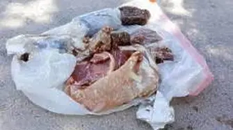 Млад мъж от плевенско открадна замразено месо от къща  