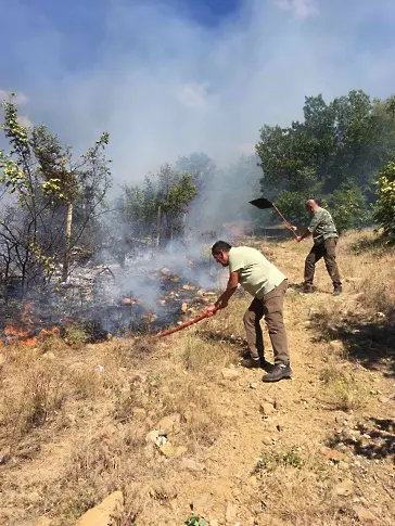 Спасиха от пожар 250 декара широколистна гора в землищата на Бяла и Божевци