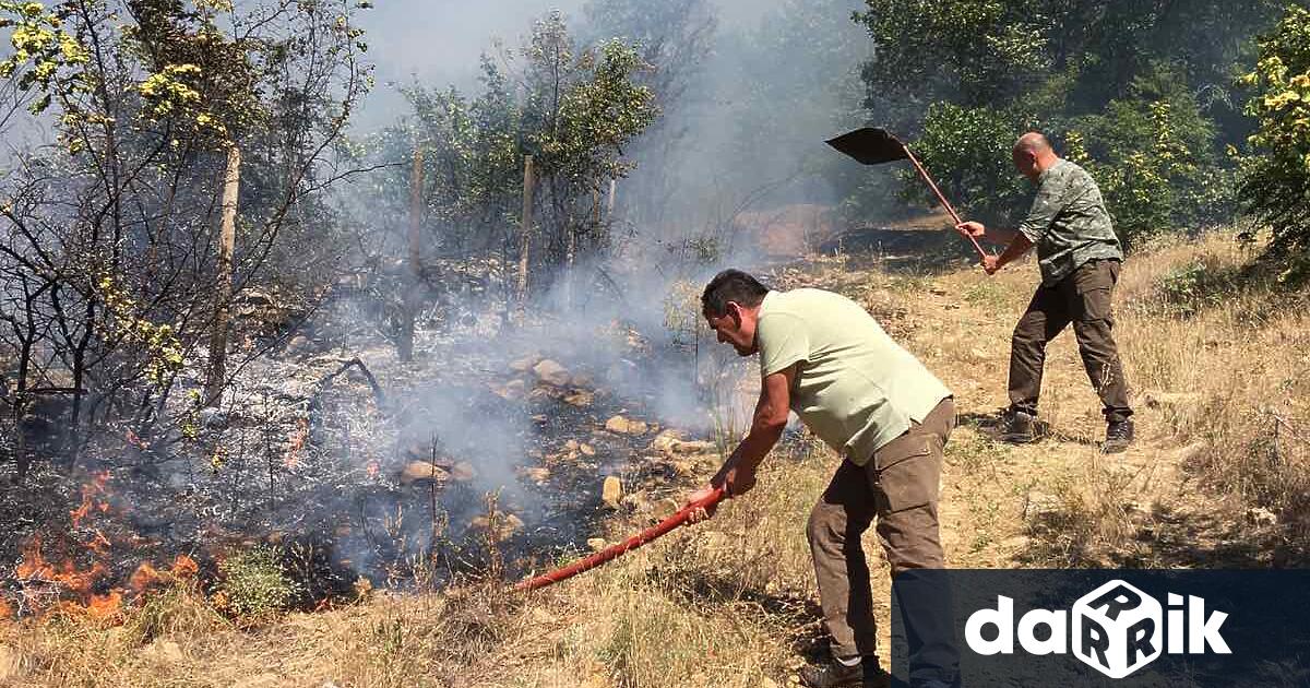 Пожарникари и горски служители са спасили 220 декара смесена гора
