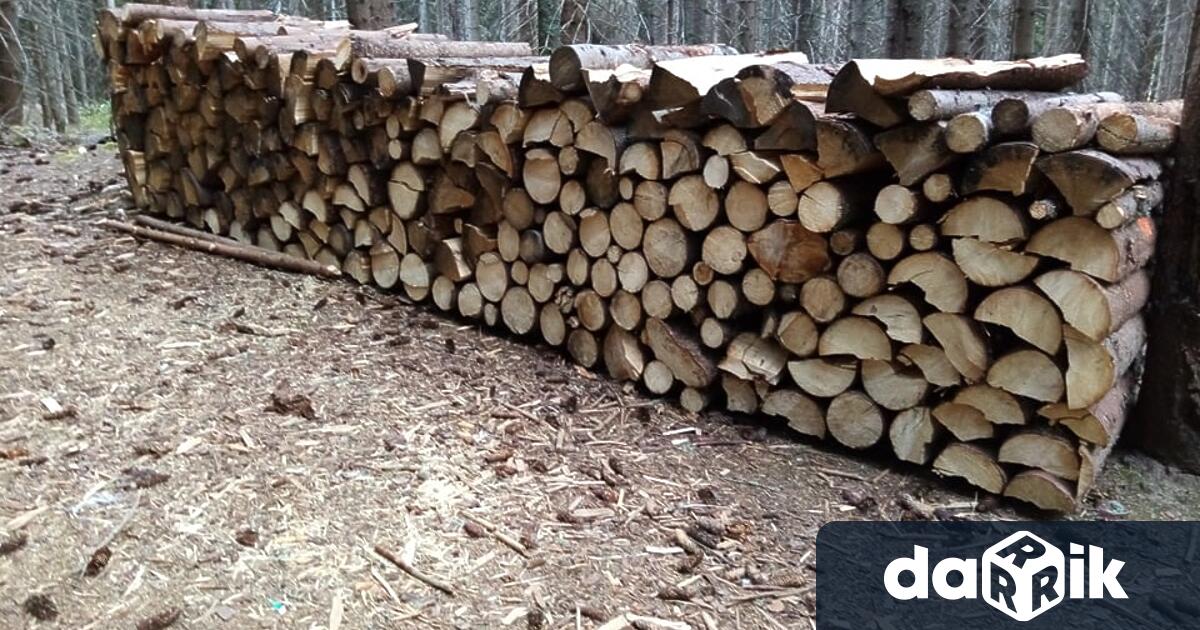 Строителната дървесина бележи ценови рекорд който няма аналог през последните