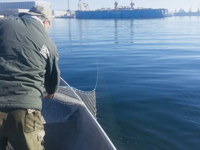 Масирани проверки за бракониерски риболов във Варненско