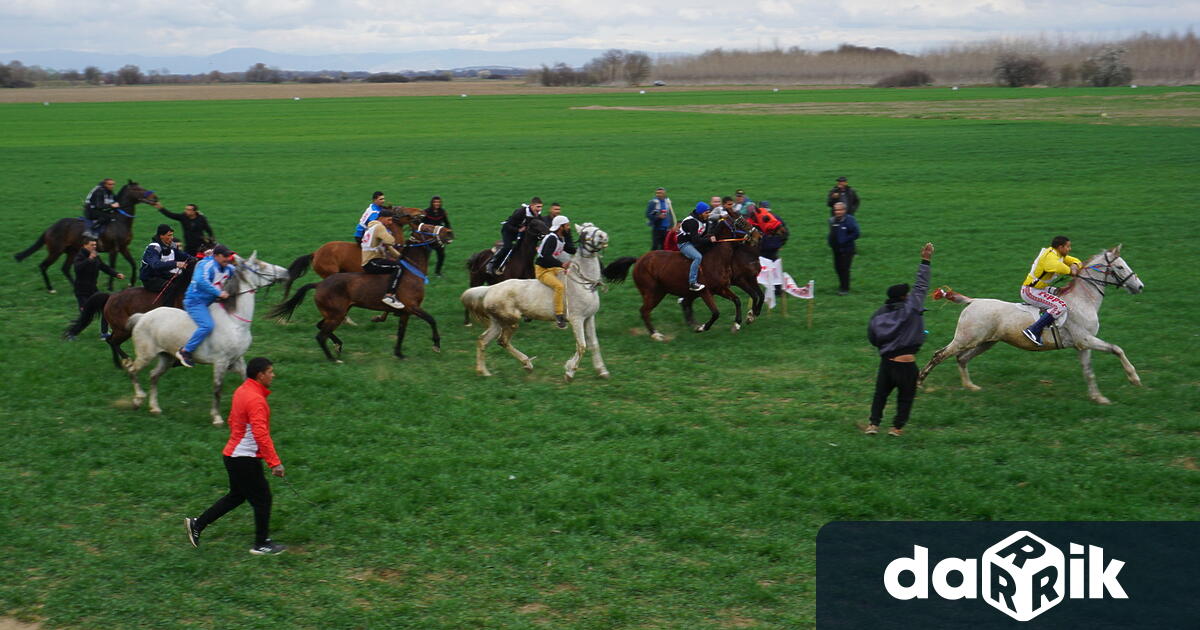 Общинският празник на коня и конния спорт събра стотици в
