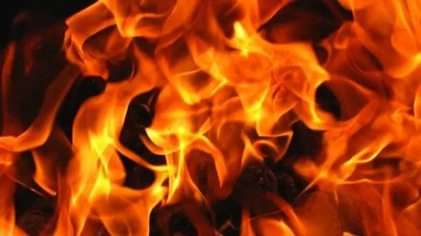 МВР Видин разследва умишлен пожар на фирма за дървен материал