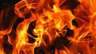 МВР Видин разследва умишлен пожар на фирма за дървен материал