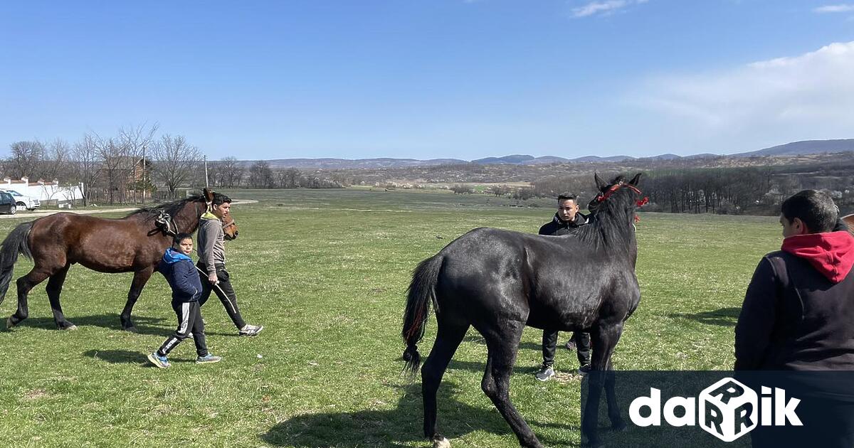 Жители на с Тишевица се включиха в организираните конни състезания Кметът Калин