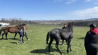 Организираха конни игри в Тишевица
