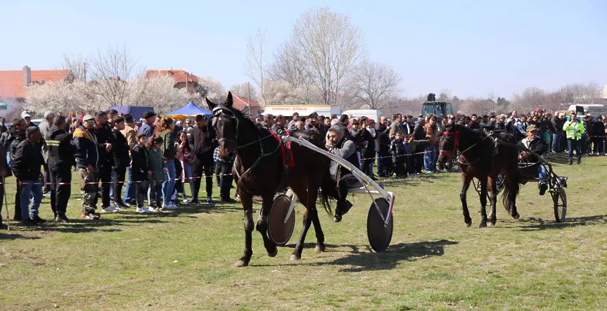 Конни надбягвания и конкурс за най-красив кон в град Левски