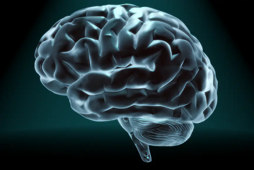 18-ти март е Световен ден на мозъка