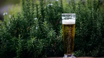 България сред лидерите по консумация на бира в света