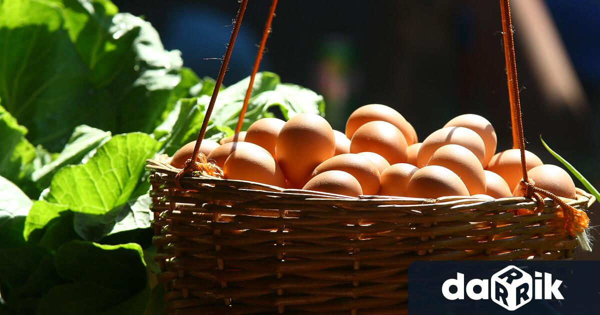Украинските яйца са безопасни, показаха резултатите от изследванията на Българската