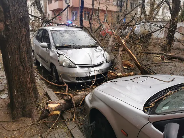 Разразилата се буря в Пловдив предизвика хаос по улиците на града (снимки)