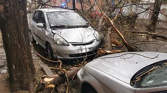 Разразилата се буря в Пловдив предизвика хаос по улиците на града (снимки)
