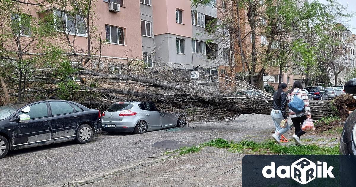Малко преди час пик, разразилата се силна буряв Пловдив предизвикаха