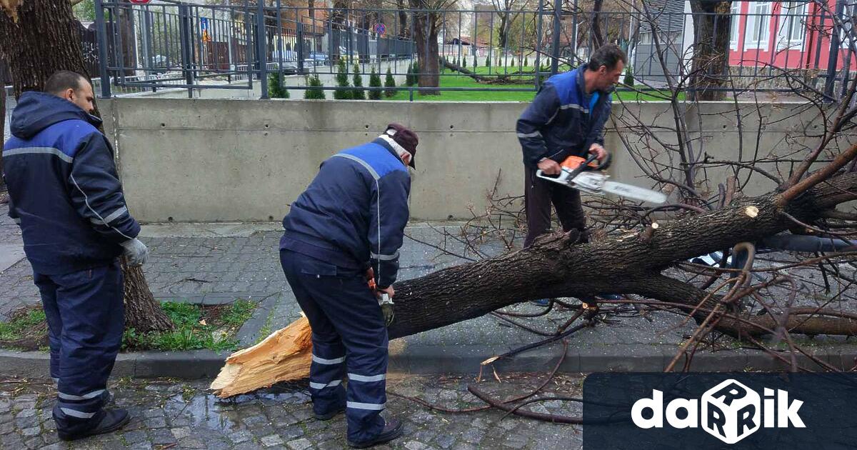 Вече втори ден продължава бурният вятър в Пловдив и региона
