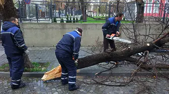 Три светофарни уредби са демонтирани заради ураганния вятър в Пловдив, силните му пориви продължават и утре